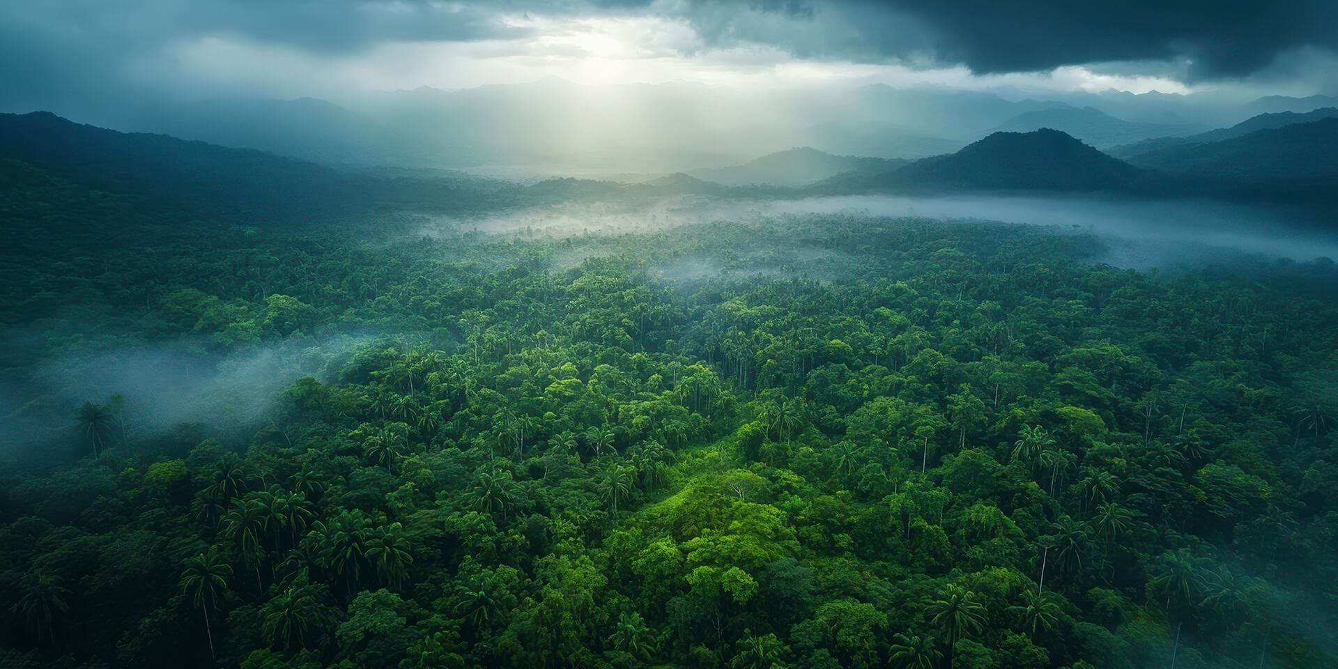 Trip to Yala National Park: Explore Wildlife with Exclusive Yala Safari